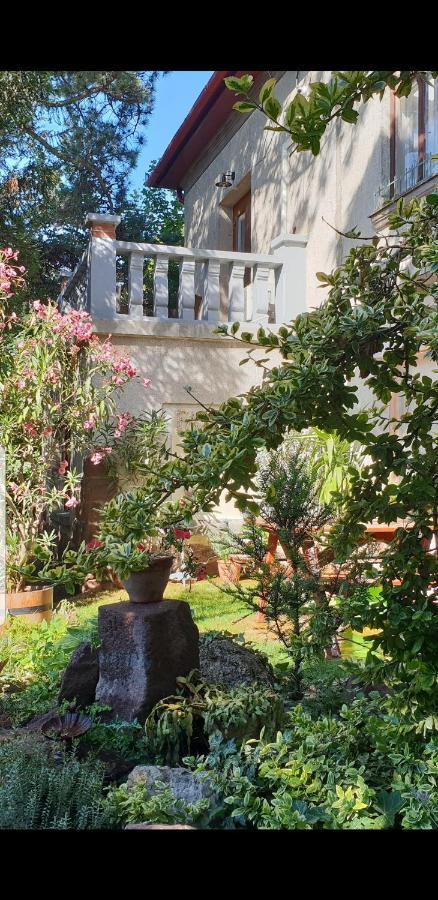 Kasza Villa บาลาตอนฟือเรด ภายนอก รูปภาพ