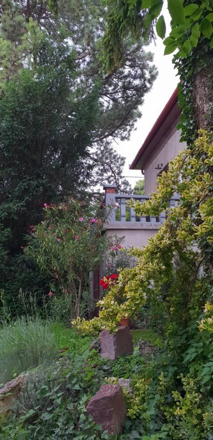 Kasza Villa บาลาตอนฟือเรด ภายนอก รูปภาพ